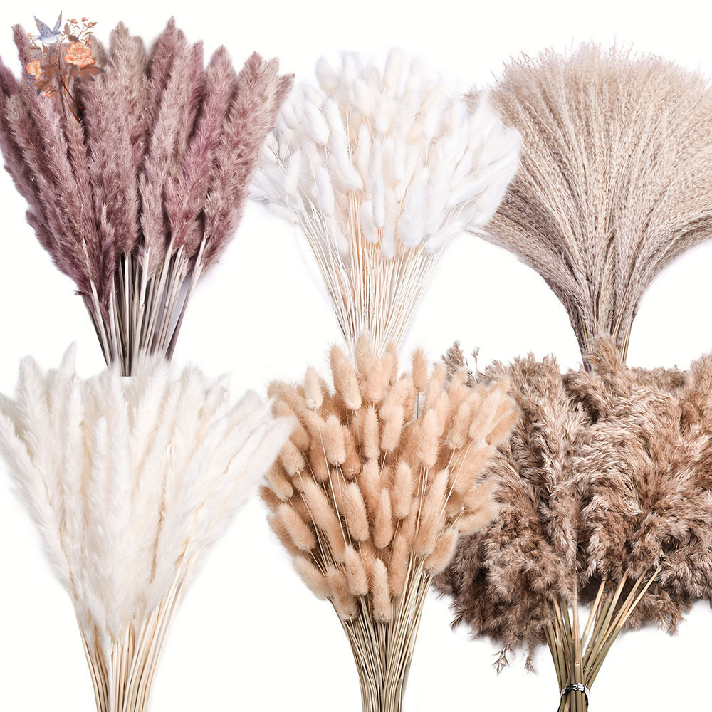 320PCS Mixed Fluffy Large Pamp - огляд і ціна Pampas Grass Decor